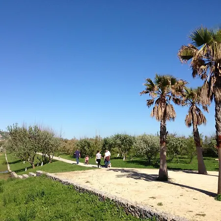 Apartment 2 Pieces Avec Parking Et Animaux Admis A - Fr-1-338-136 Sete