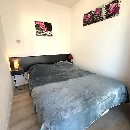 2 Pieces Avec Parking Et Animaux Admis A - Fr-1-338-136 * Sete