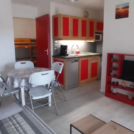 아파트 2 Pieces Avec Parking Et Animaux Admis A - Fr-1-338-136 *
