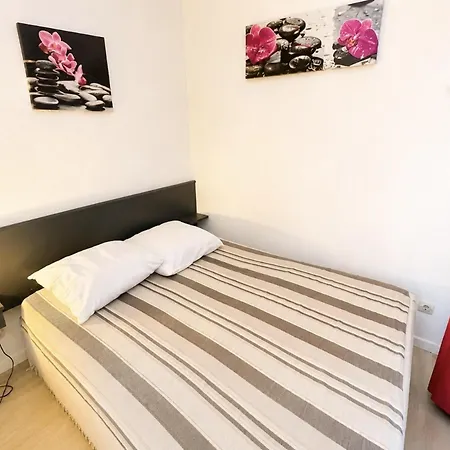 아파트 2 Pieces Avec Parking Et Animaux Admis A - Fr-1-338-136