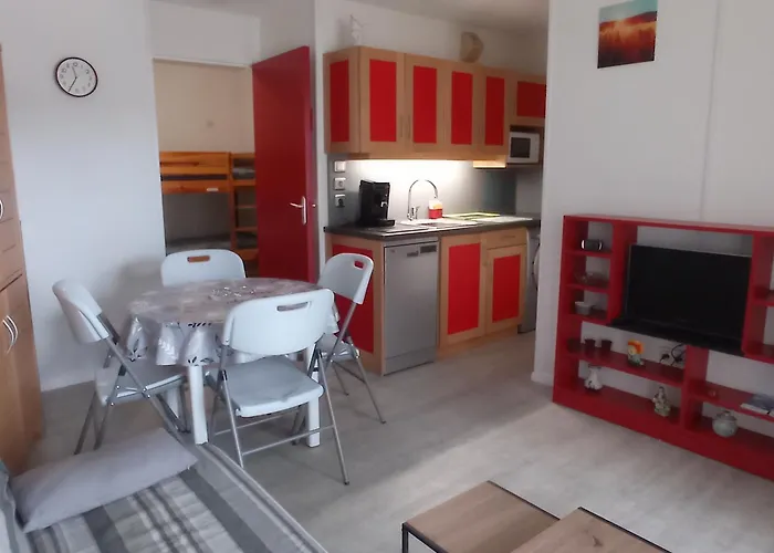 아파트 2 Pieces Avec Parking Et Animaux Admis A - Fr-1-338-136 *