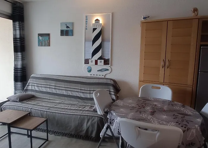 Appartamento 2 Pièces Avec Parking Et Animaux Admis à - Fr-1-338-136 Sète